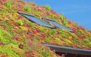 Blank Bank living roof systems